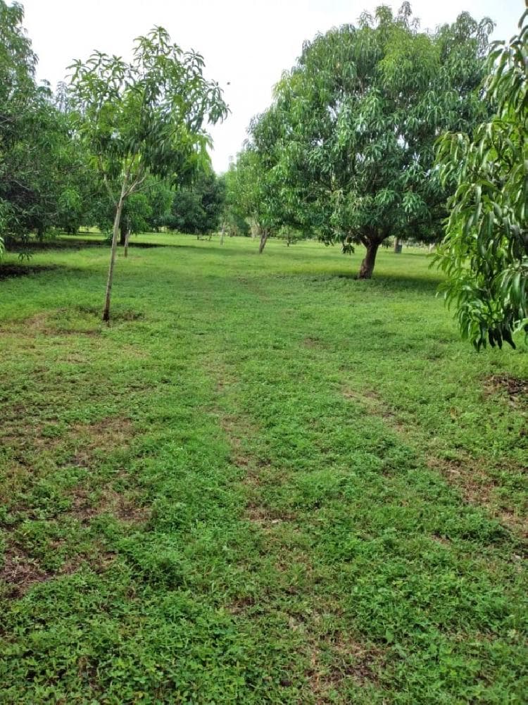 Terreno en Venta en Nueva Concepción — foto 3