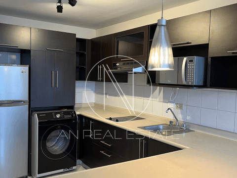 APARTAMENTO AMUEBLADO EN RENTA EN ZONA 9 — foto 3