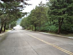 Terreno en venta en zona 16 Las Cumbres Guatemala