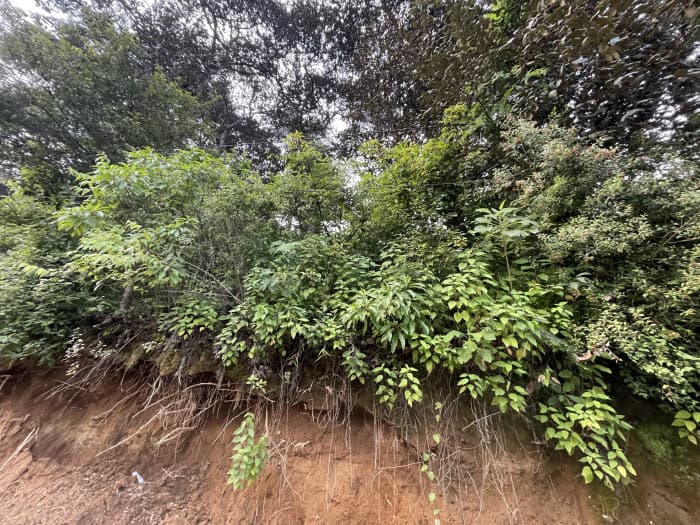 Terreno en venta en Aldea Chichorin San Lucas — foto 11