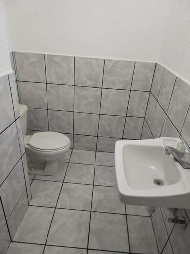 Miniatura 9