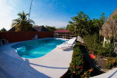 Miniatura 10