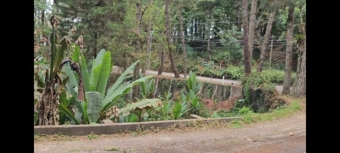 Terreno en condominio residencial CAES — foto 2
