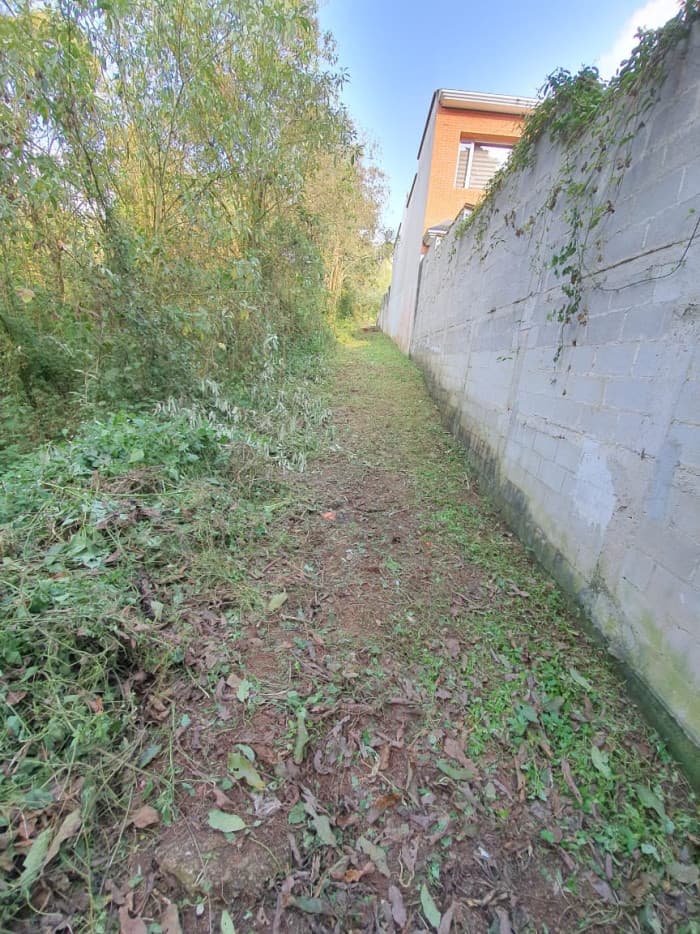 Espectacular Terreno en Santa Rosalía km 12.5 — foto 4