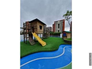 Miniatura 10