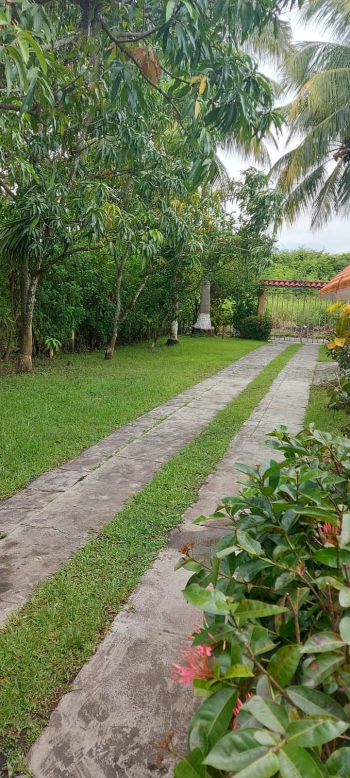 En Venta terreno en Escuintla Guatemala — foto 8