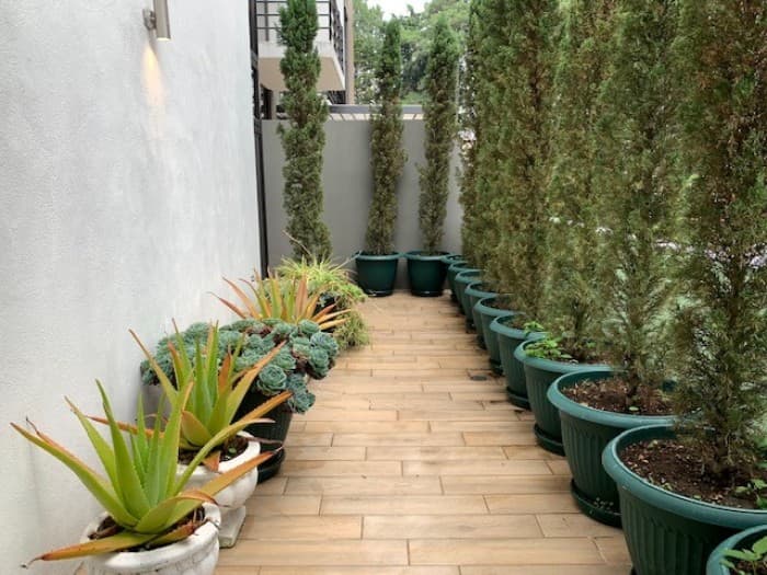 VENTA Apartamento con amplio balcón km 14 Carr Salvador — foto 14