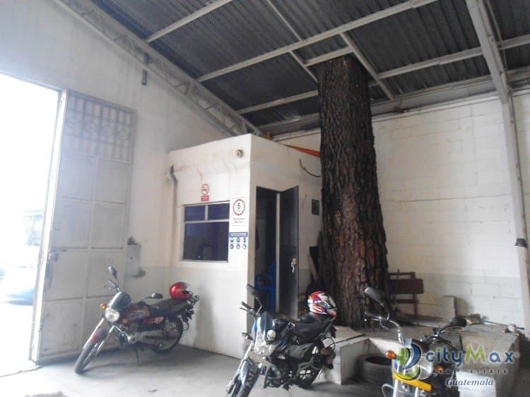 Bodega Local Comercial  Renta, zona 9 ciudad  Guatemala — foto 3