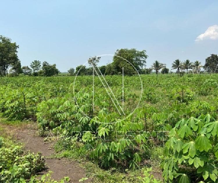 TERRENO EN VENTA EN MASAGUA, ESCUINTLA — foto 13