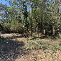 Lote en Venta RioSul, Escuintla, Guatemala