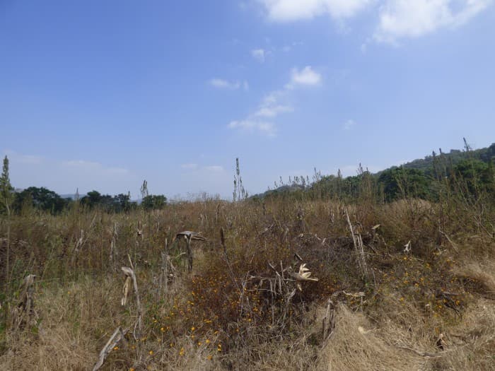 EL CHATO — foto 2