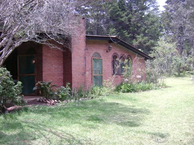 ALQUILO  GRANJA EN  SAN  LUCAS — foto 1