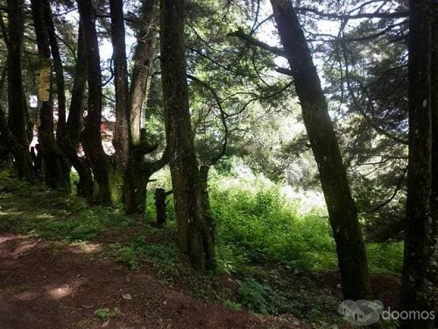 SE VENDE TERRENO — foto 6