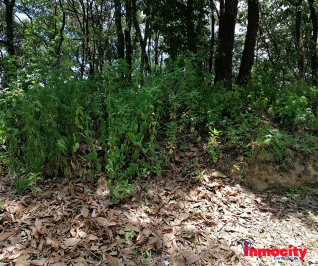 Terreno en Venta Mixco zona 1 — foto 4