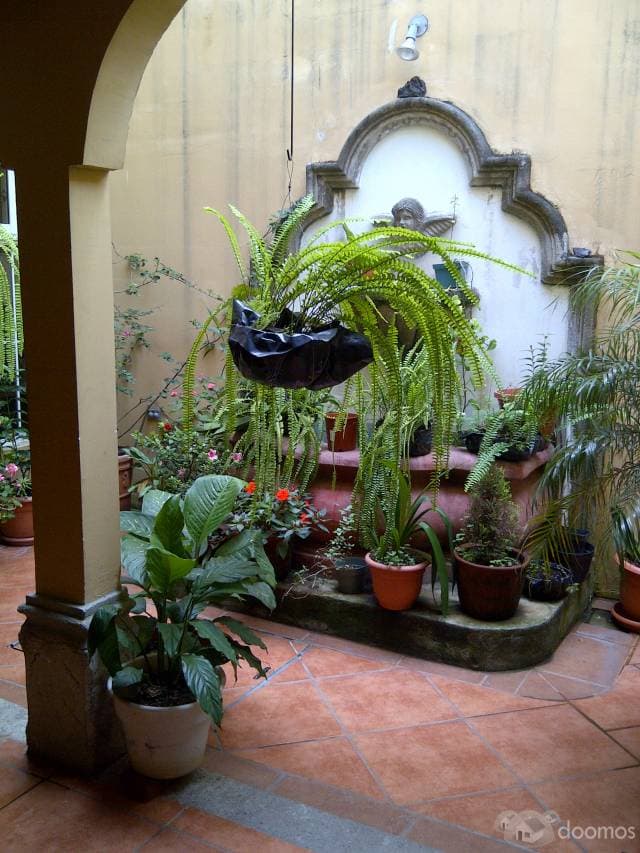 Por viaje REMATO hermosa propiedad — foto 2