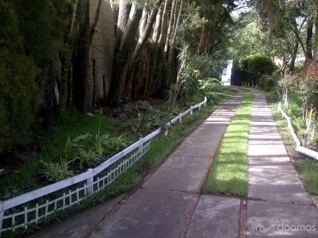 CASA CON TERRRENO — foto 1