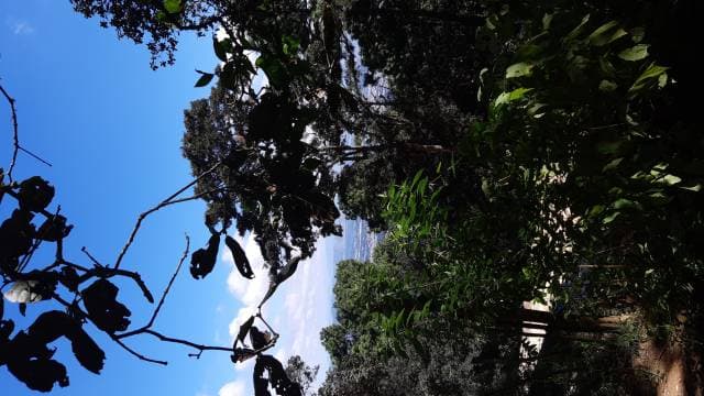 Vendo tres manzanas de terreno — foto 3