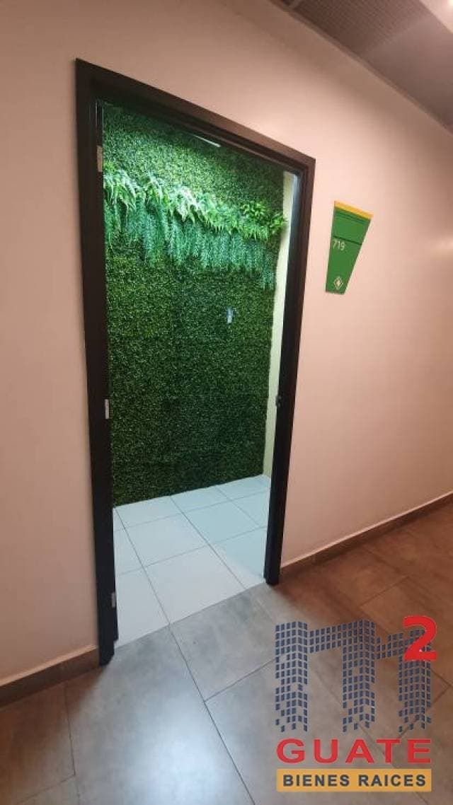 Oficina de 49 m2 de construcción, en Renta Zona 11 — foto 7
