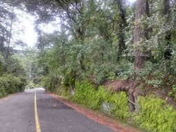Terreno en Venta en El Encinal Tronco 1 Zona 7 Mixco