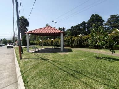Miniatura 9
