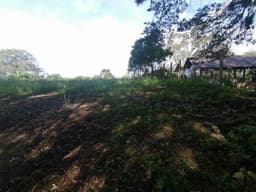 Terreno en Venta Sobre la Carretera a Fraijanes