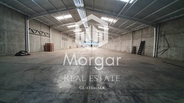 Bodega en Renta en El Naranjo de 1563 mts² en $6,160 / código 784 — foto 4
