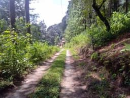 Hermoso Terreno Inclinado en San Lucas