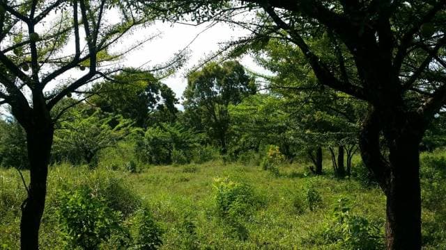 TERRENO EN VENTA, LAS CABEZAS, ORATORIO, SANTA ROSA — foto 6