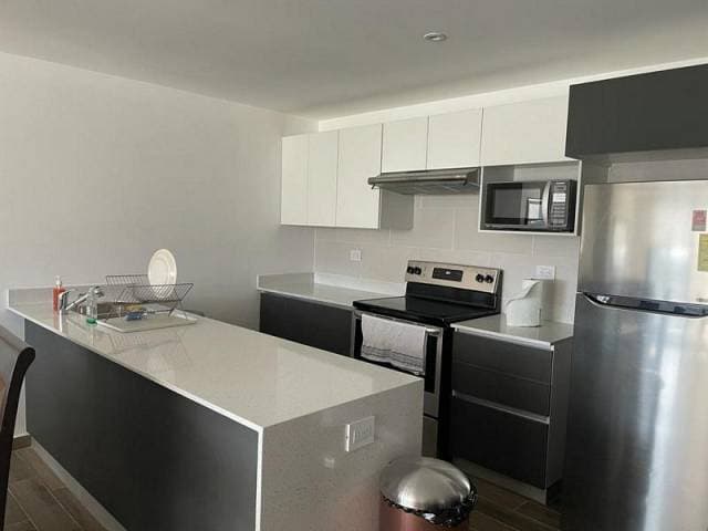 Apartamento Amueblado en Renta Parque 15 Guatemala — foto 2