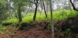 TERRENO EN VENTA EN EL ENCINAL