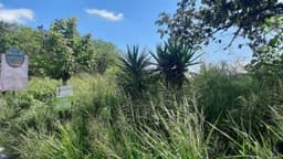Terreno en Renta en Km. 22.5 carretera al Atlántico