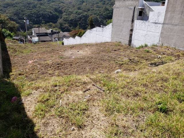 Terreno de 14x40mts en Venta en San Cristobal — foto 2