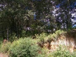 CityMax Antigua vende terreno Aldea Chichorin San Lucas