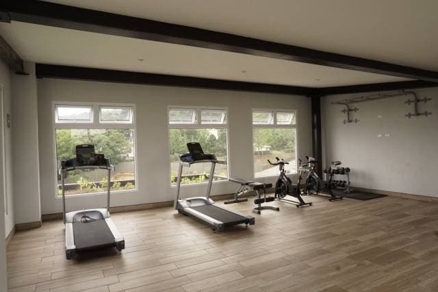 APARTAMENTO EN RENTA EDIFICIO ANCONA Z.1 MIXCO — foto 13