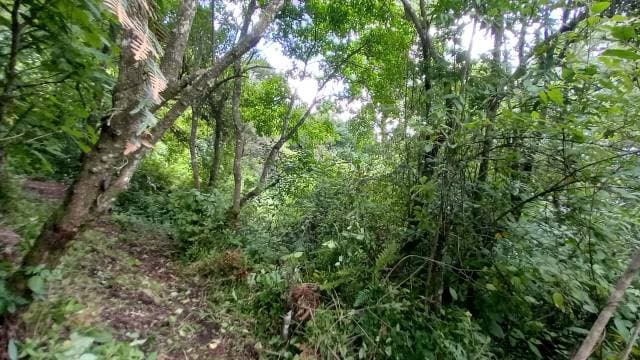 Terrenos en venta en el encinal zona 7 de mixco — foto 2