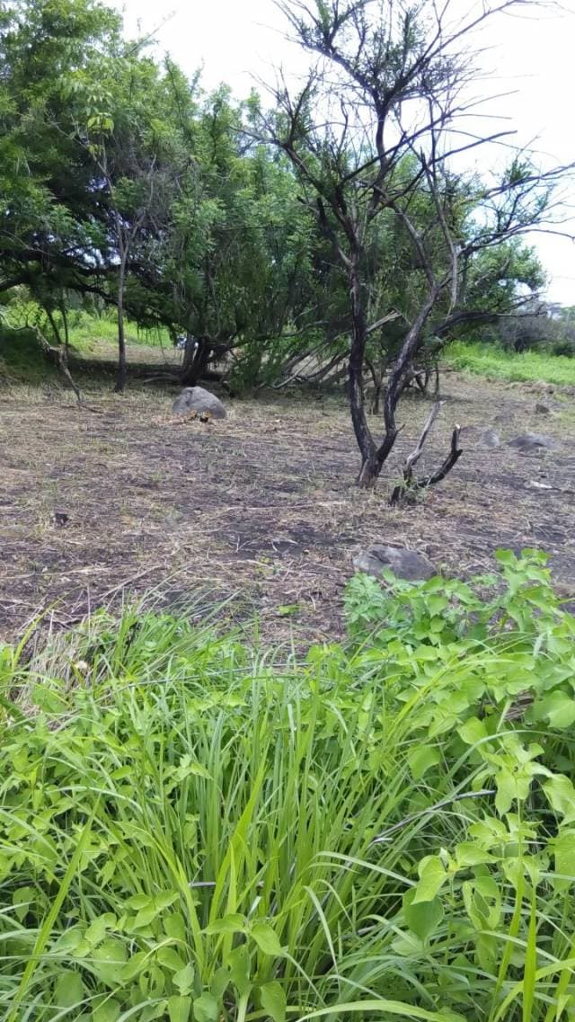 Vendo Terreno Residencial en Torremolinos — foto 3