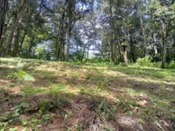 Terreno en Venta En Carretera a El Manzanillo San Lucas