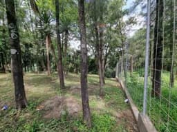 Terreno en Renta para Vivero o Restaurante tipo Pérgola