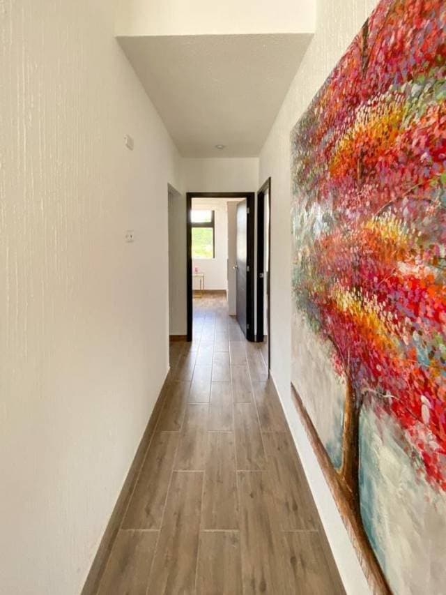 Apartamento Tipo Pent-house En Renta en Fraijanes — foto 5