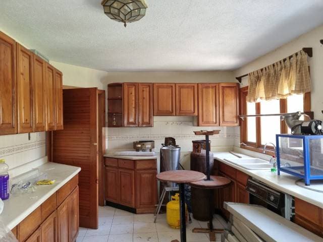 Casa en Venta Carretera CA-1 Occidente KM 37.5 Santiago — foto 5