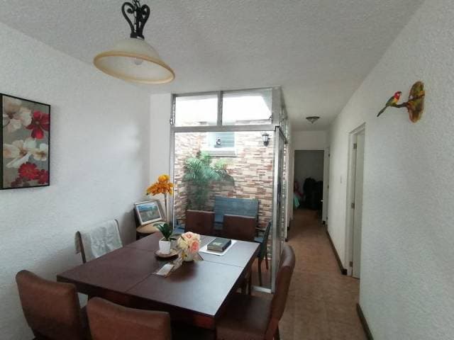 Casa en Renta San Lucas, El Choacorral — foto 2