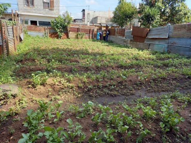 Terreno en Venta Zona 10 de Mixco, La Comunidad — foto 2