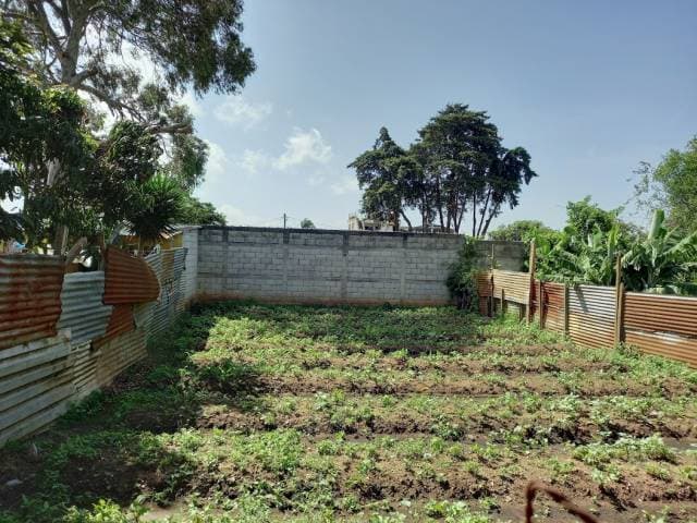 Terreno en Venta Zona 10 de Mixco, La Comunidad — foto 3