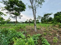 Terreno en Venta Quintas Malibu, Masagua Escuintla