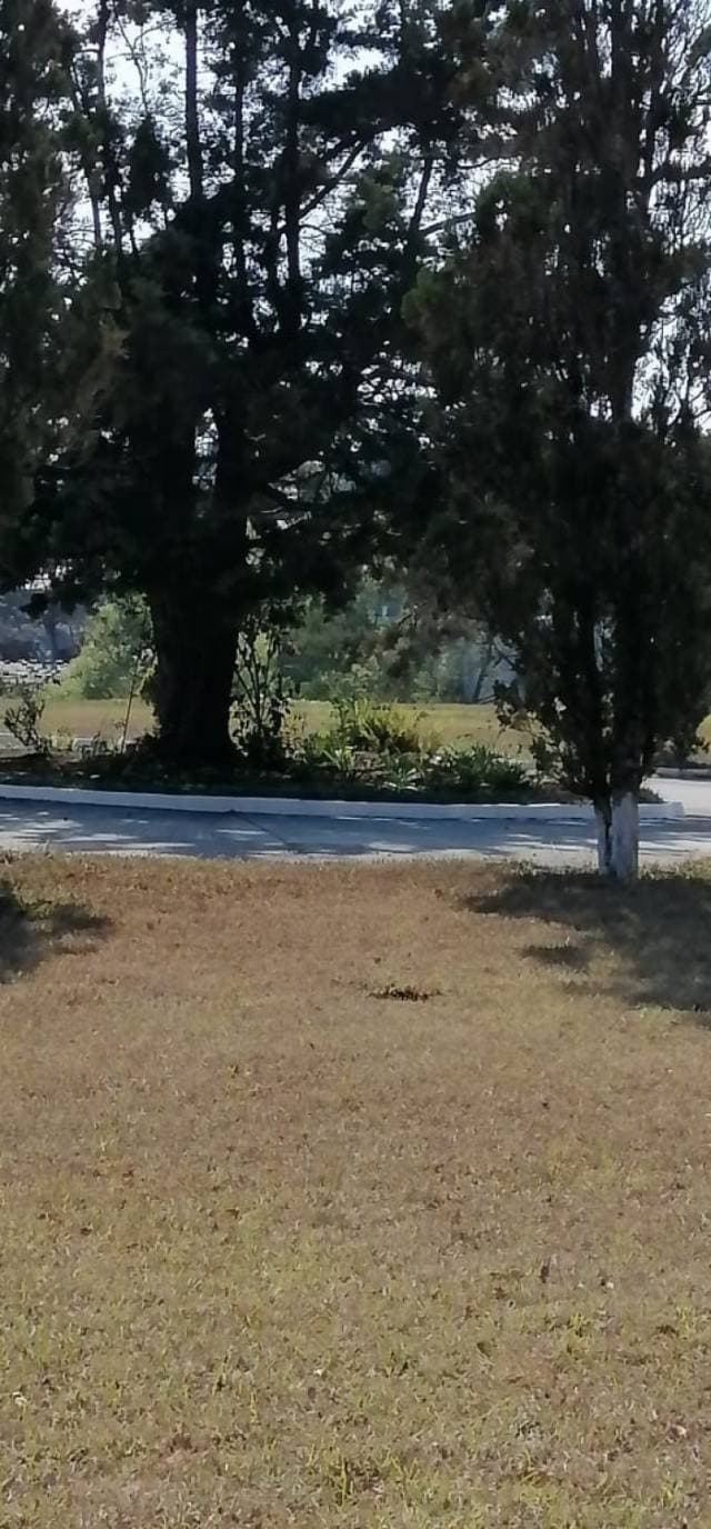 Terreno en Venta Cementerio Jardín Los Olivos, CES — foto 2