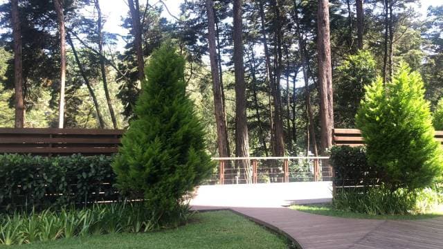 RENTO APARTAMENTO PARA ALQUILAR EN KM 14 CAES — foto 3