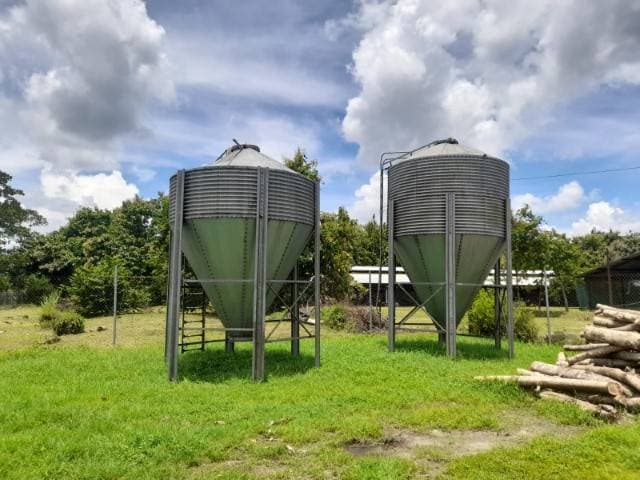 Granja Avícola en Renta, Escuintla — foto 4
