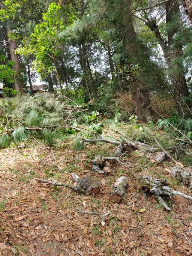 VENDO TERRENO EN SANTA CATARINA PINULA — foto 2