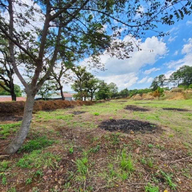 Terreno Industrial en Renta Labor de Castilla — foto 4