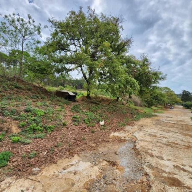 Terreno Industrial en Renta Labor de Castilla — foto 11